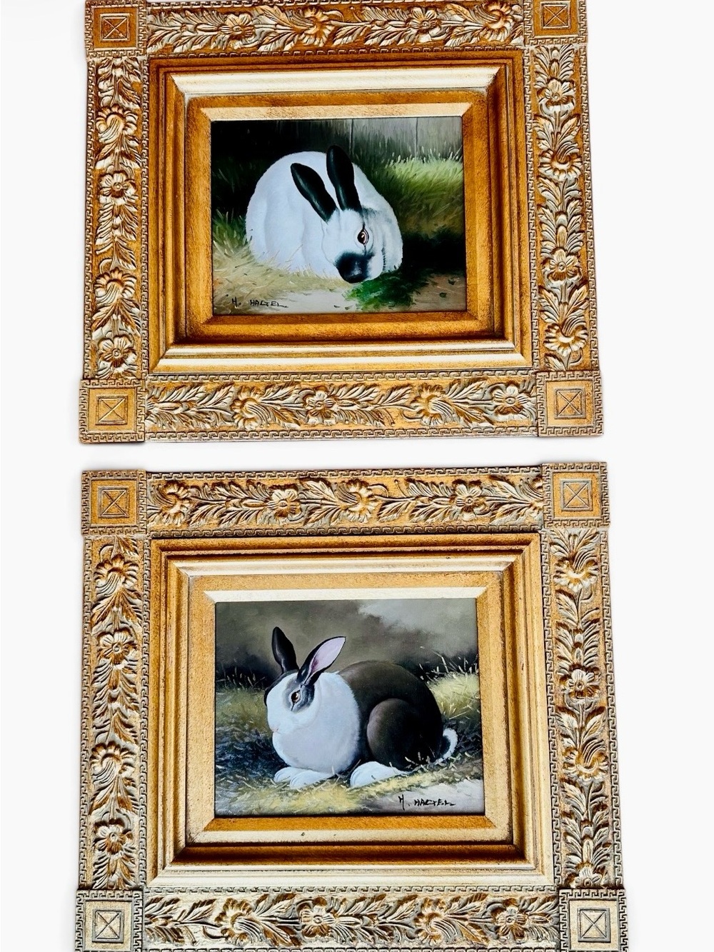 Oil Paintings Rabbit H Hagel Ornate Gold Frame 17”x19” Pastoral Charm Realism
